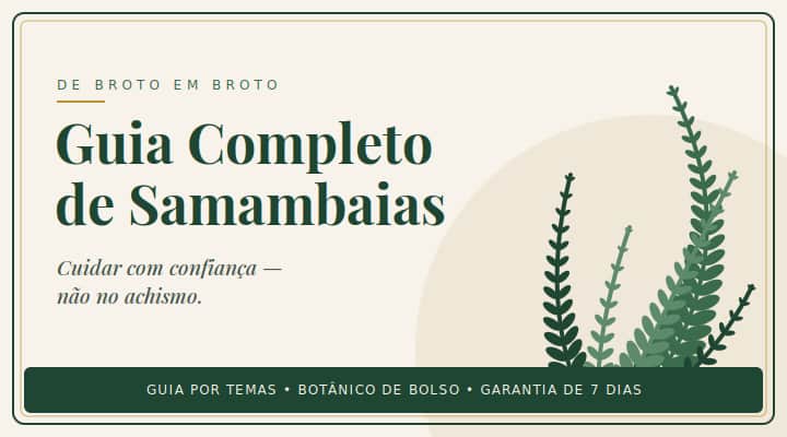 Samambaias - Guia Completo para Cultivar com Amor